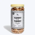 HUFT Yummy in My Tummy Gluten Free Real Chicken Cookies Dog Treats