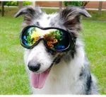 DOG SUNGLASSES