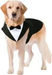 DOG FORMAL DRESS
