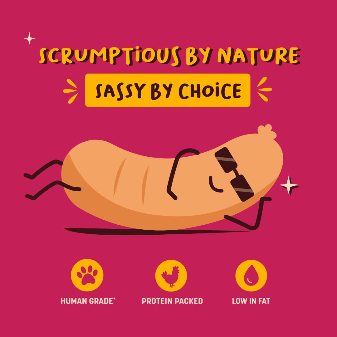 HUFT Sassy Sausage BBQ Air-Dried Dog Treats - Real Chicken - 100 gm - Image 2
