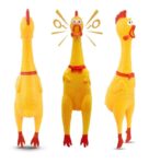SQUEAKY CHICKEN