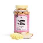 Yummy in My Tummy by HUFT Apple & Banana Dog Biscuits