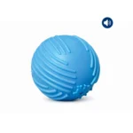 Bouncy Rubber Ball for Fetch and Chew
