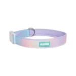 Pawsplash Soft Collar with Mesh Padding