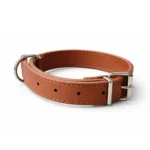Leather Collar