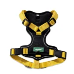 Iron-tail Dog Harness with Padding