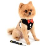 CAT & PUPPY TUXEDO HARNESS