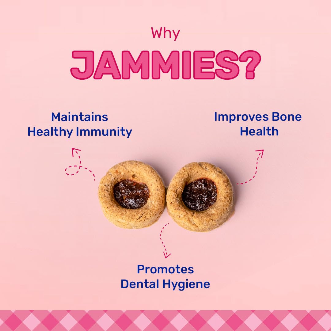 HUFT Jammies with Real Chicken Filled with Strawberry Jam Dog Treats - Image 5