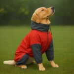 DOG RAIN COAT