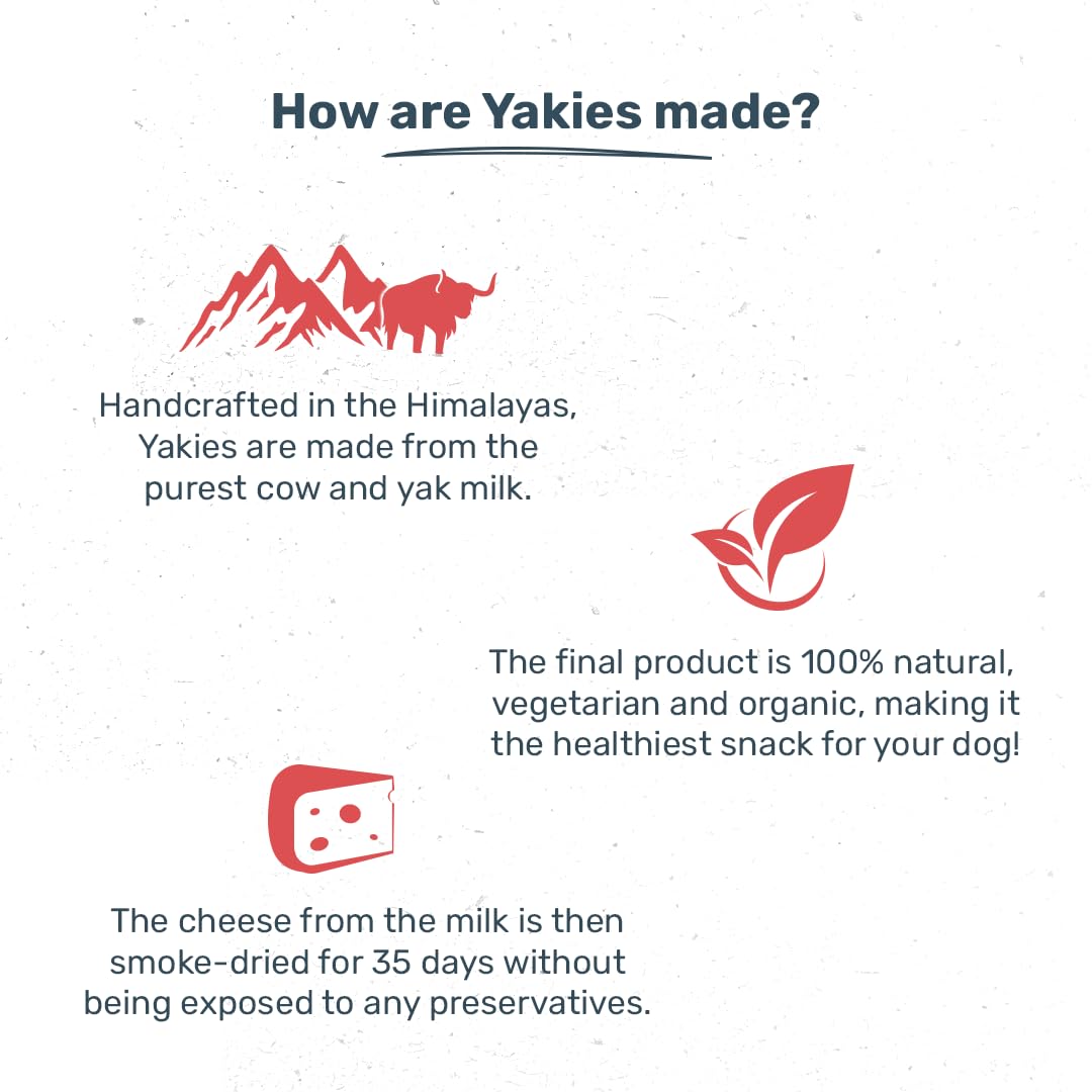 HUFT Yakies Vegetarian Natural Chew Bone - Apple - Image 2