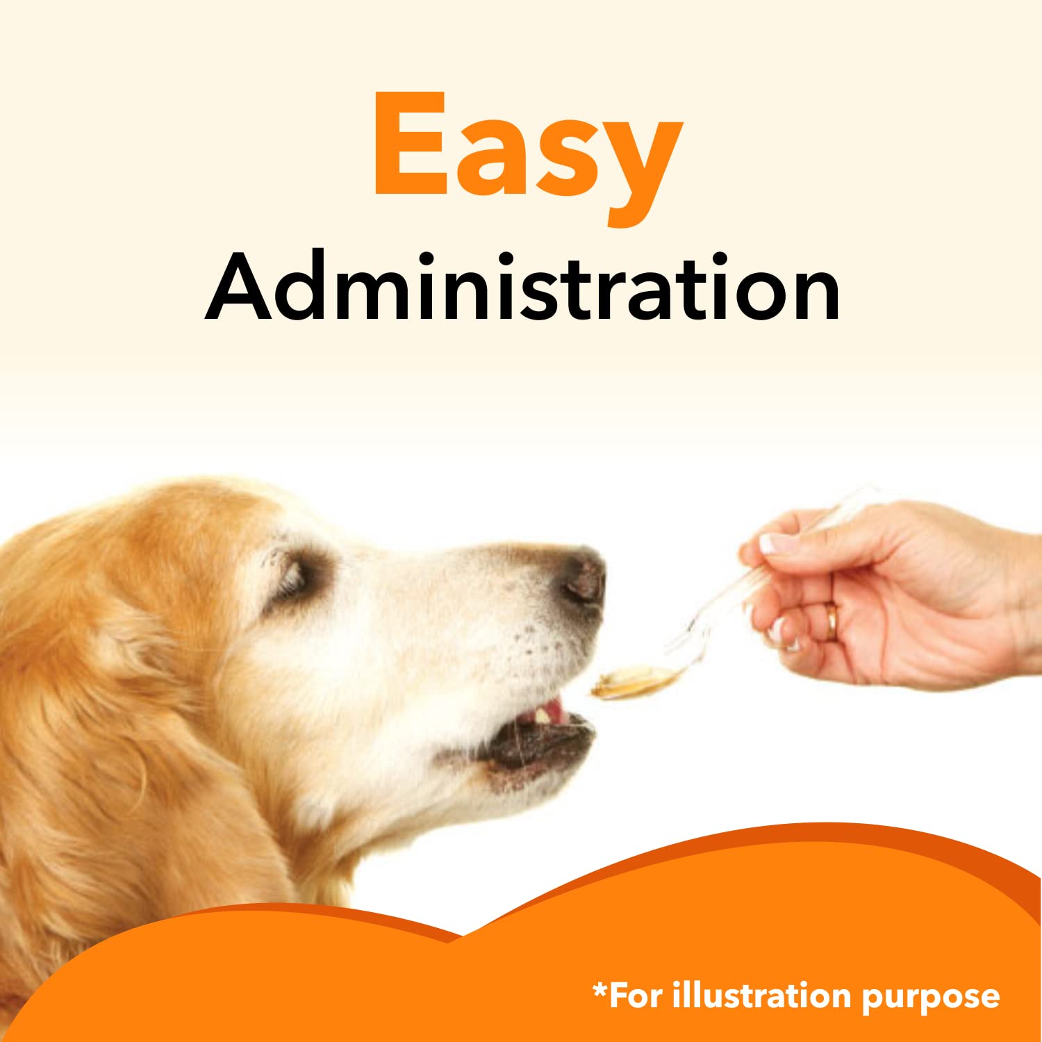 Drools Absolute Salmon Oil Syrup Supplement for Dogs - Image 4