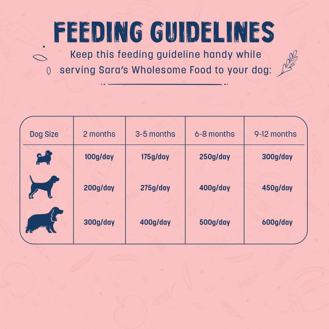 Sara's Wholesome Chicken & Brown Rice Puppy Food, 100g - Image 4