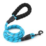 SHOW LEASH