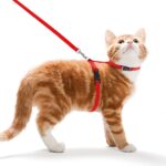 CAT HARNESS