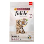SENIOR ADULT