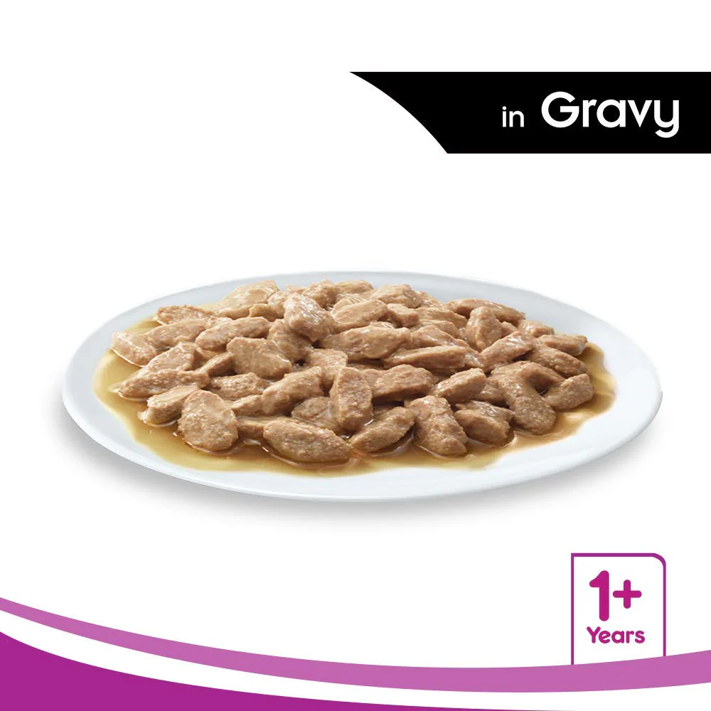 Whiskas Salmon in Gravy Adult Wet Cat Food (+1 year) - 80gm - Image 3