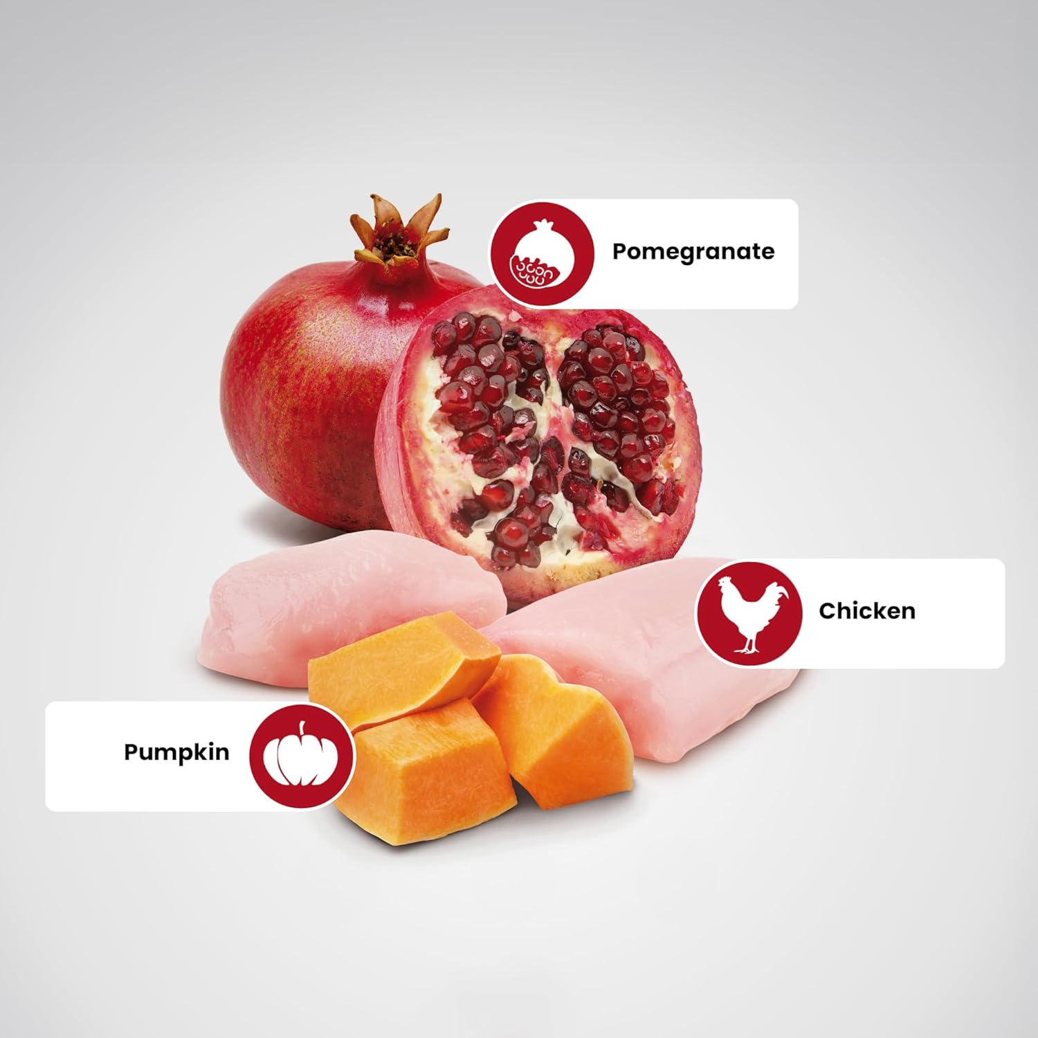 Farmina N&D Pumpkin Chicken & Pomegranate Grain Free Mini Breed Dry Puppy Food - Image 2