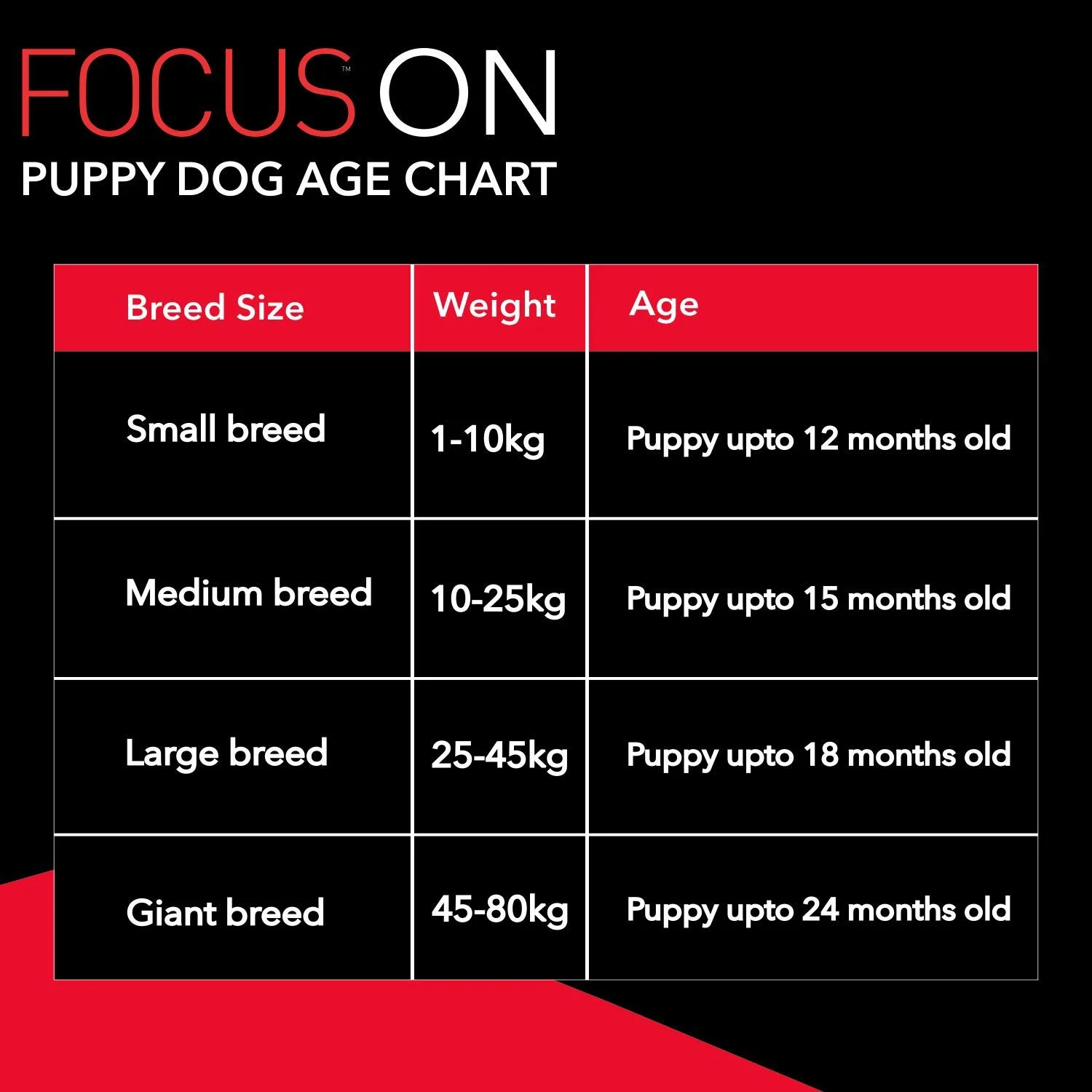 Drools Focus Premium Puppy Dry Dog Food, 1.2 kg - Image 4