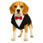 DOG WEDDING / PARTY DRESS