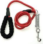 IMP SPRING ROPE LEASH