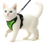 Buraq No Pull Cat Harness with Leash