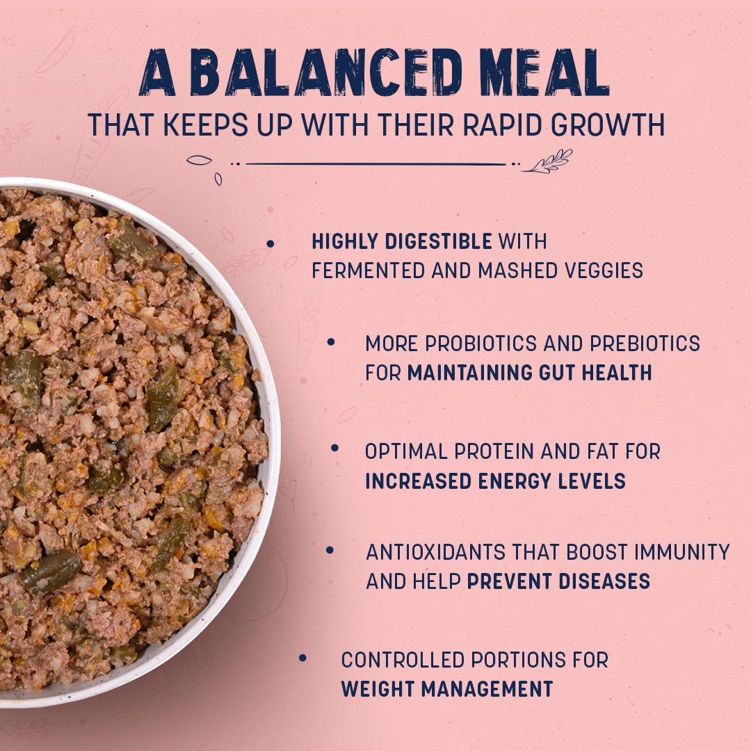 Sara's Wholesome Chicken & Brown Rice Puppy Food, 100g - Image 3