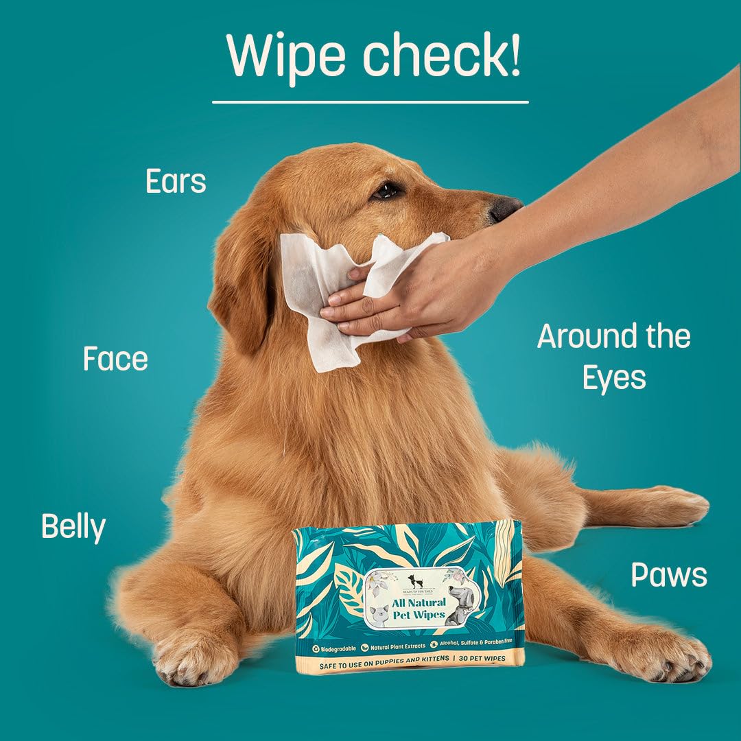 HUFT Biodegradable Pet Wipes - Image 3