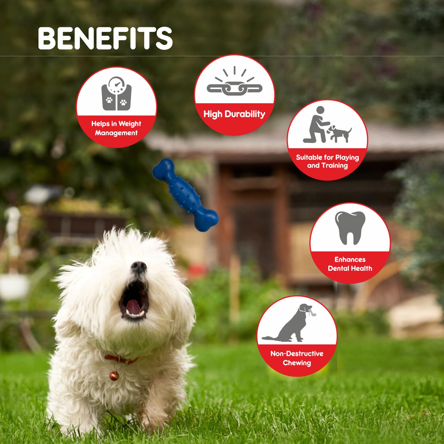 Drools Dog Non-Toxic Rubber Toy for Dogs, Spike Bone - Image 3