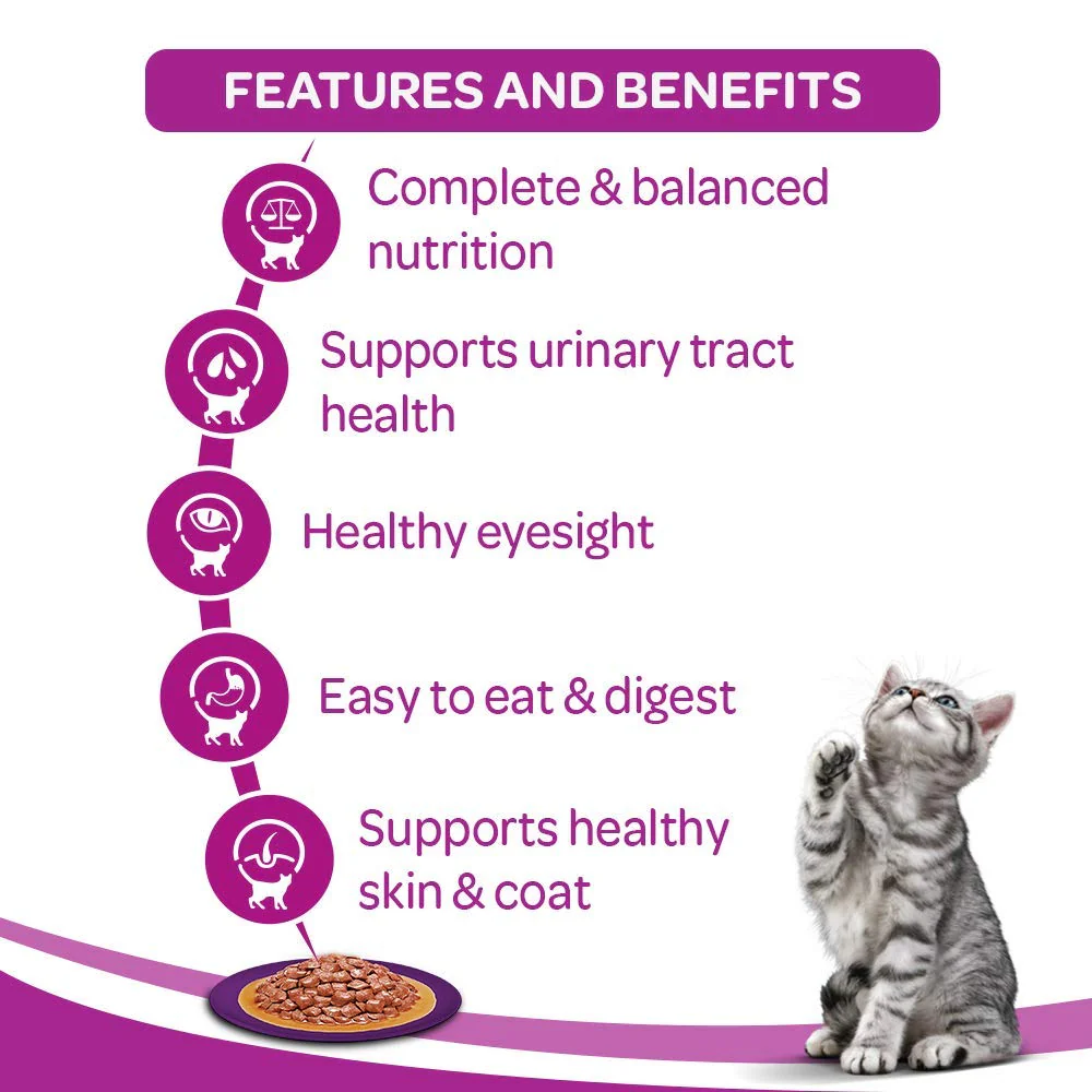 Whiskas Salmon in Gravy Adult Wet Cat Food (+1 year) - 80gm - Image 4