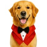 DOG TUXEDO