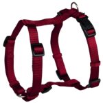 H' HARNESS