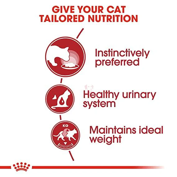 Royal Canin Instinctive Gravy Salsa Wet Cat Food, 85g - Image 3