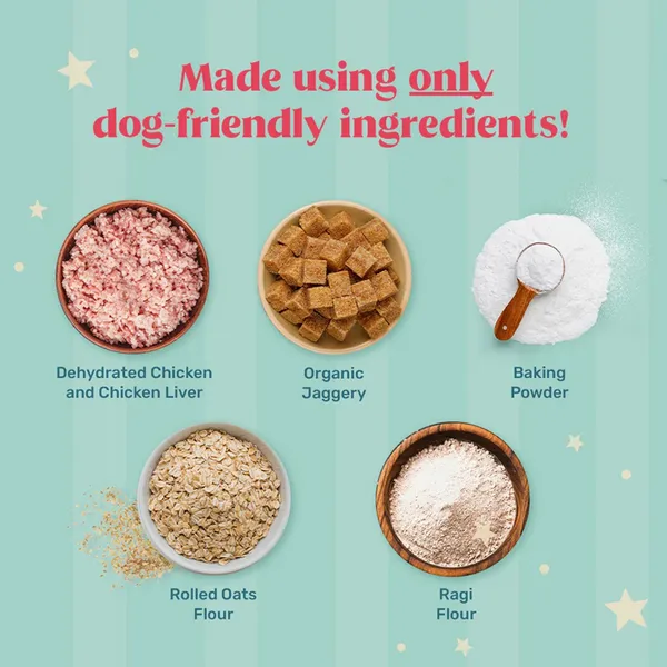 HUFT Gluten Free Instant Chicken Cake Frosting Mix Dog Treats - Image 3