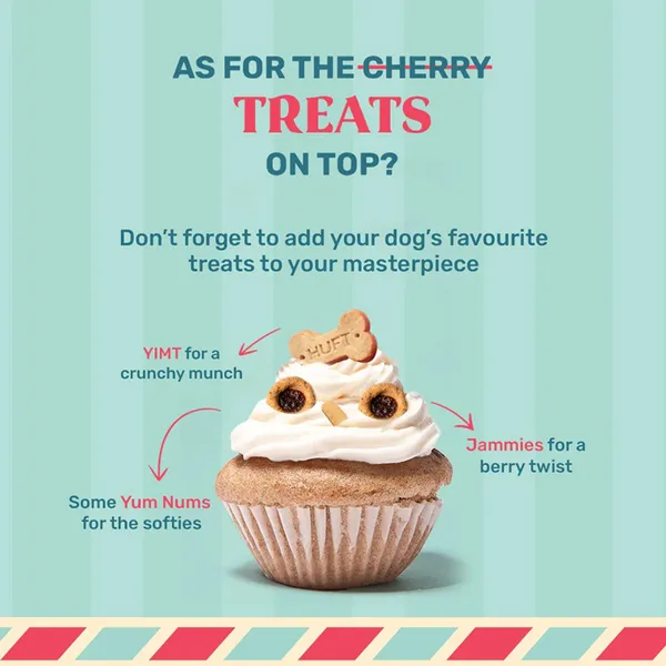 HUFT Gluten Free Instant Chicken Cake Frosting Mix Dog Treats - Image 7