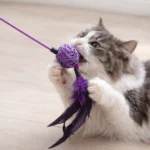 CAT TEASING STICK (MULTI-COLOR)