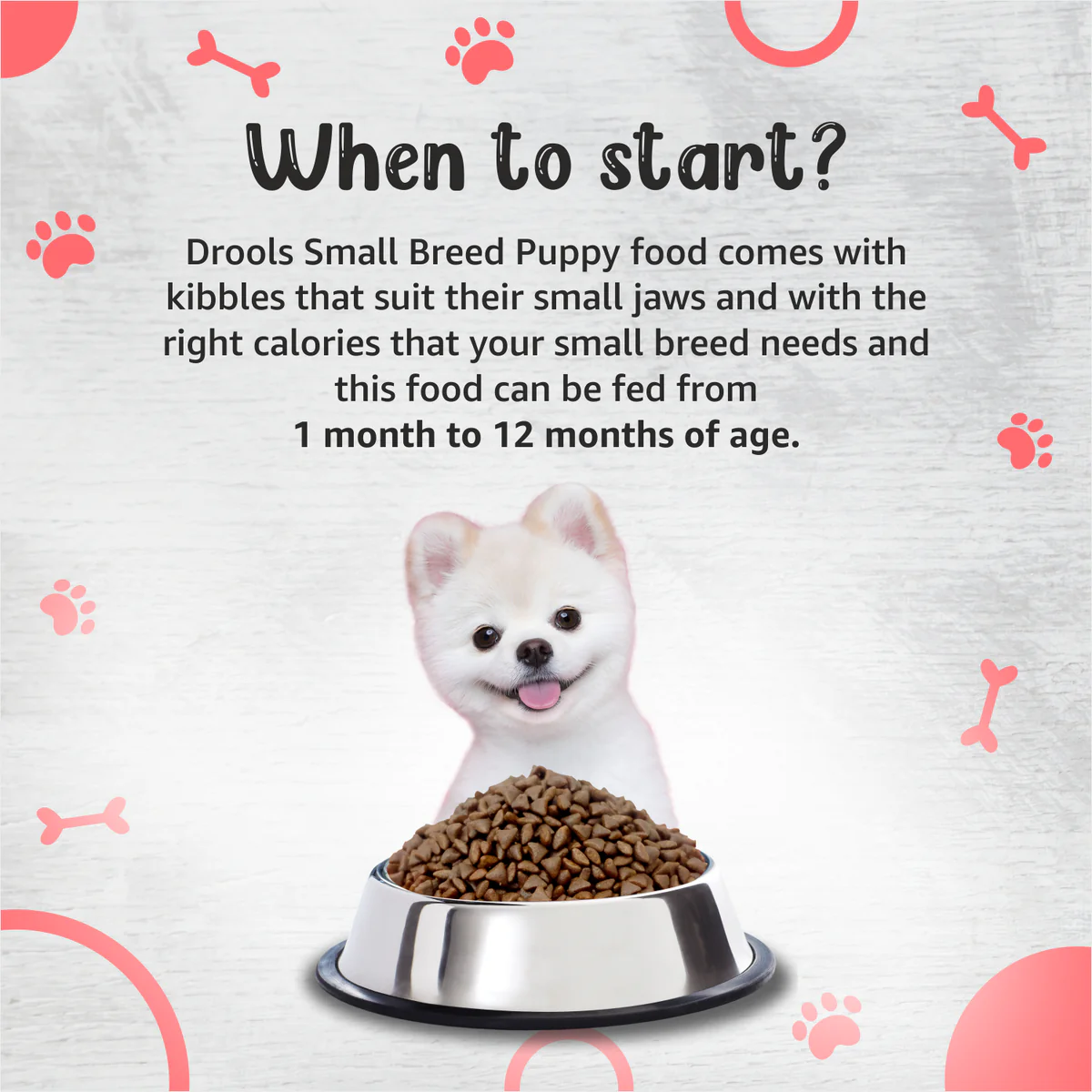 Drools Premium - Small Breed Puppy Dry Food - Image 3