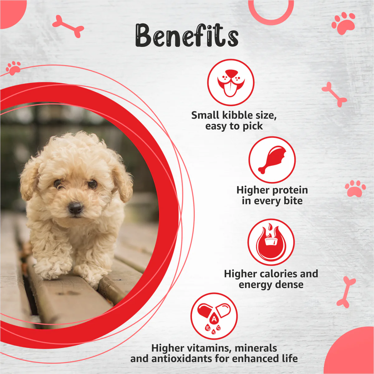 Drools Premium - Small Breed Puppy Dry Food - Image 4