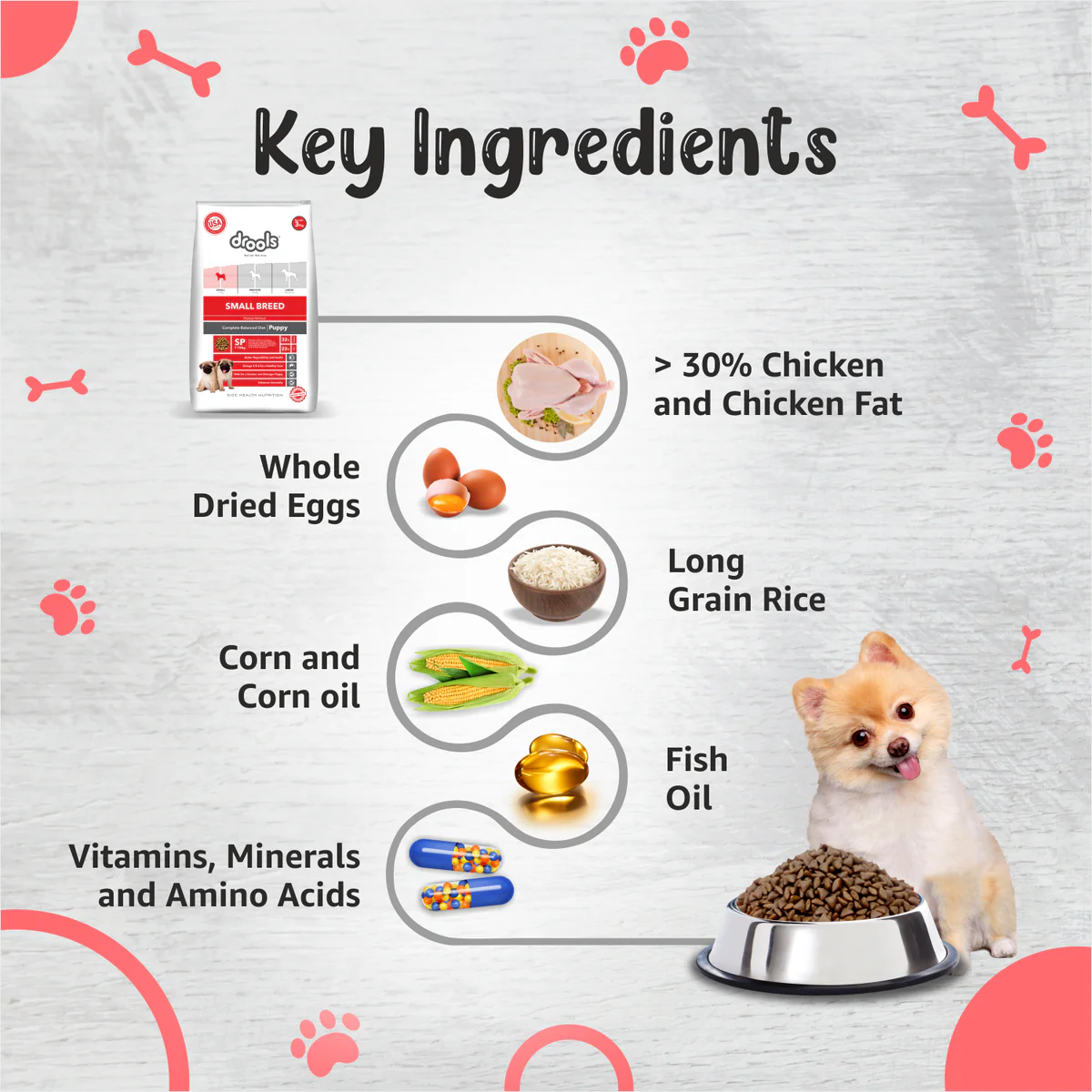 Drools Premium - Small Breed Puppy Dry Food - Image 5