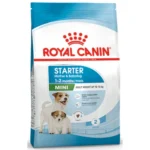 Royal Canin Mini Starter, Mother & Baby dog Dry Food