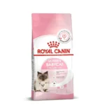 Royal Canin Mother & Babycat Cat Dry Food