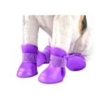 SILICON SHOES