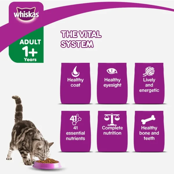 Whiskas adult dry cat food tuna 3