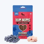 HUFT Yum Nums Dog Treats Soft & Chewy Sticks Blueberry With Real Chicken - 70 gm