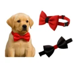 DOG BOW COLLAR