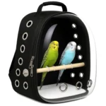 Astronaut Bird Carrier Backpack – Transparent & Breathable