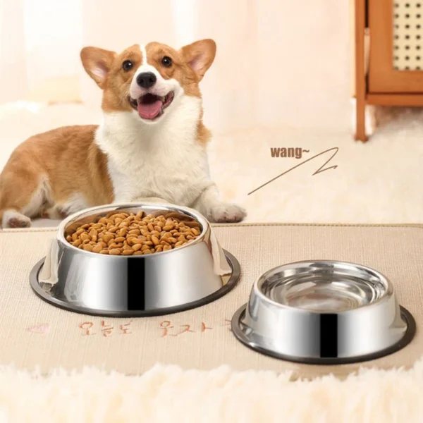 Buraq premium stainless steel anti skid pet bowl 3