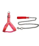 CHAIN WITH BODY SET