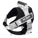DAILY WALK BODY HARNESS