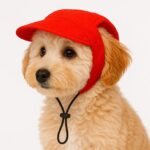 DOG HAT