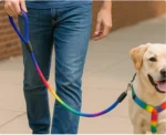 IMPORTED ADULT RAINBOW LEASH